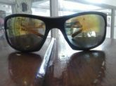oculos mormaii